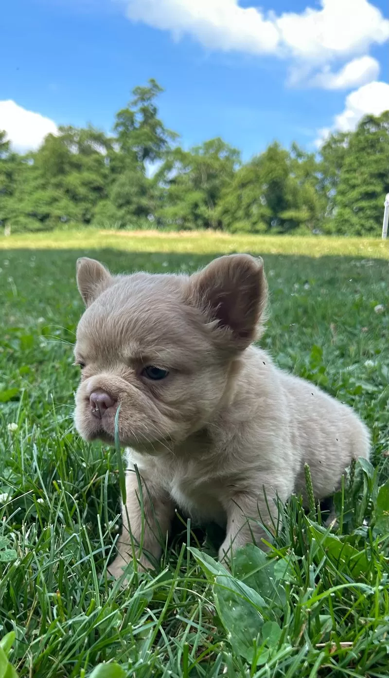 Charlie