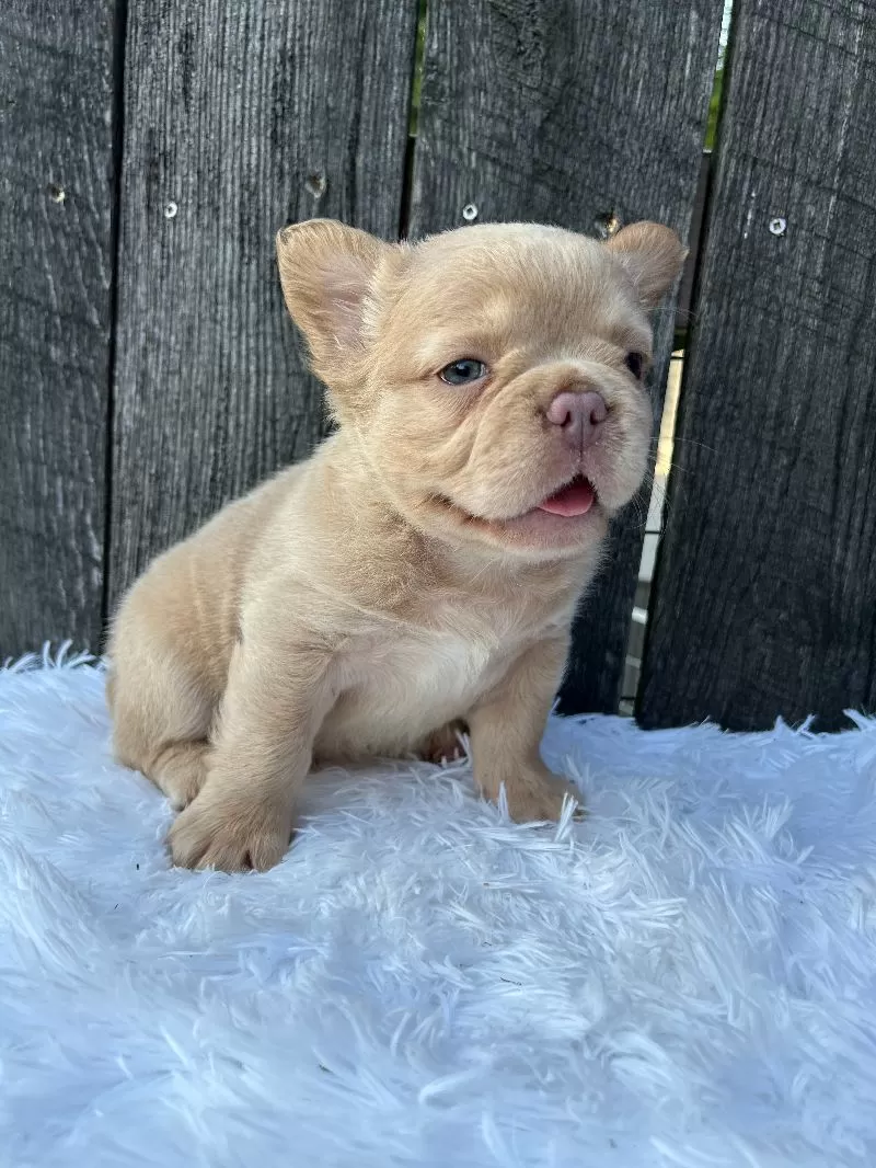 Charlie
