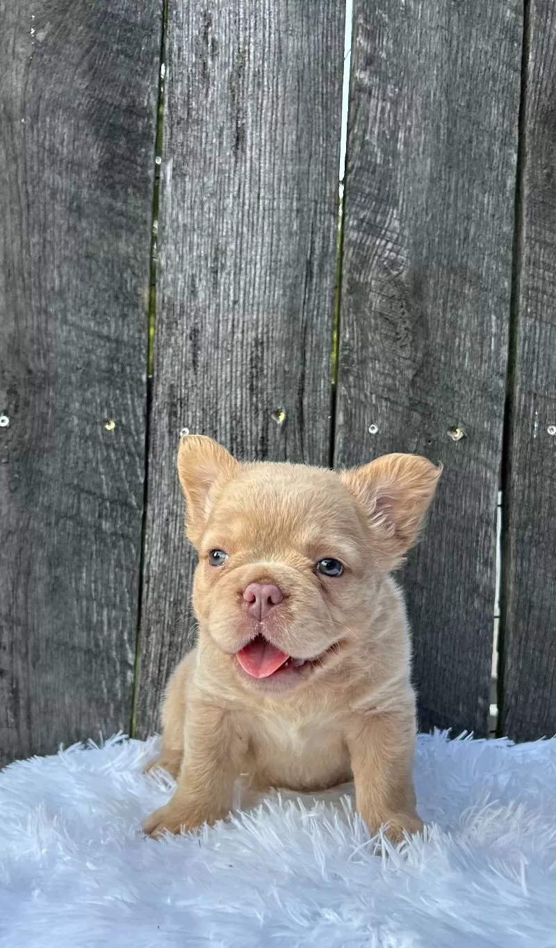 Charlie