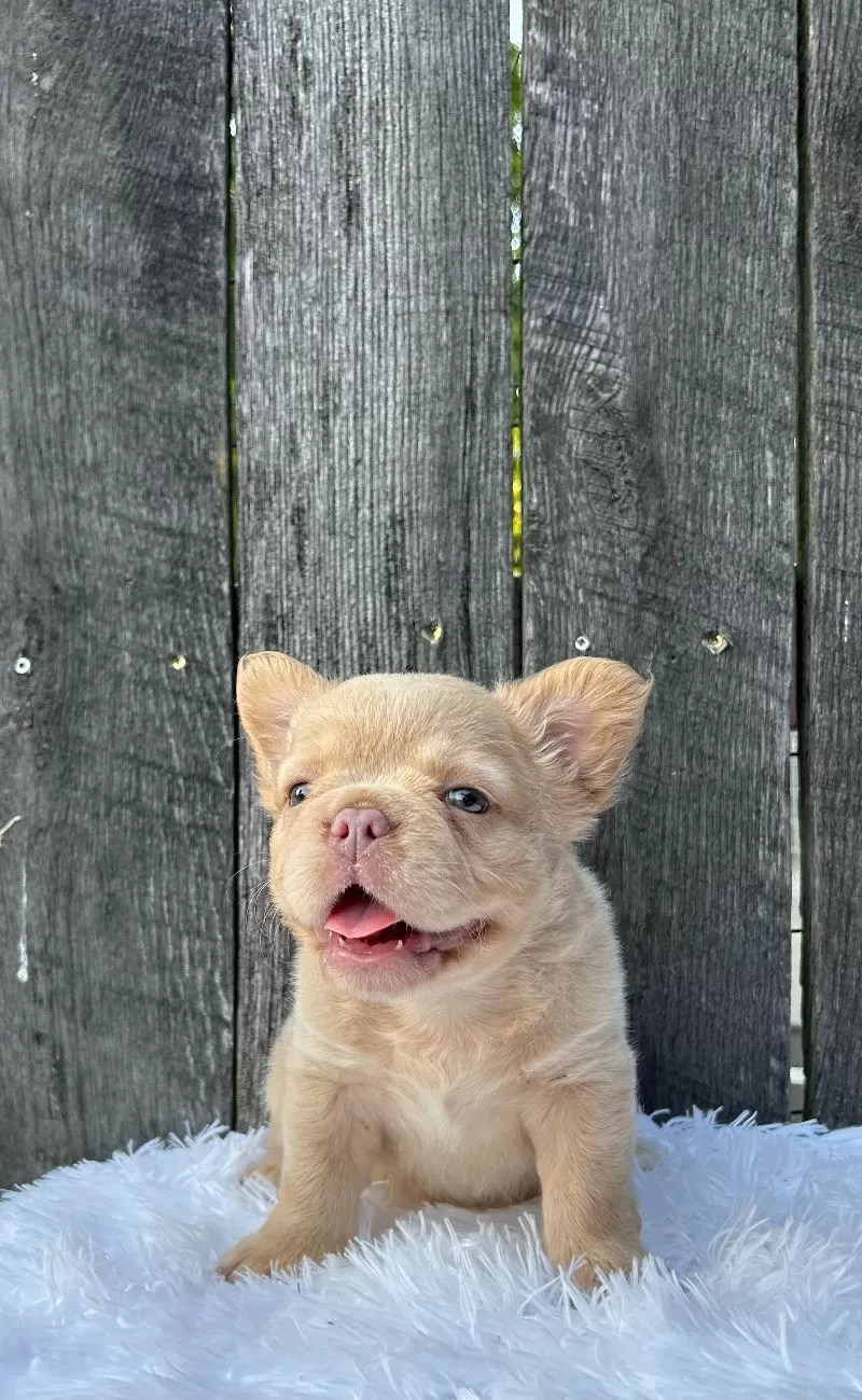 Charlie